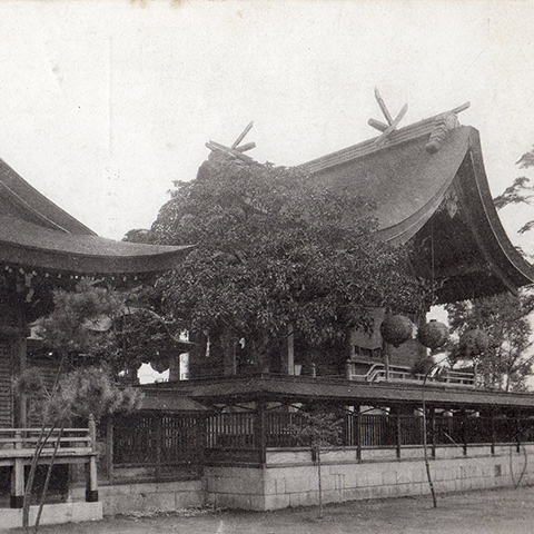 昔の岡山神社  / <small>Photo: 不明</small>