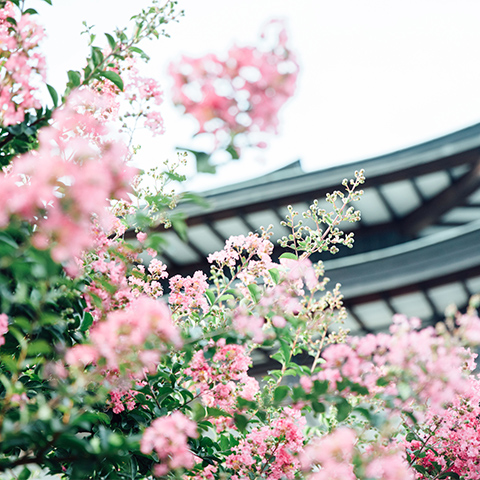 茅野祭 / <small>Photo: 中川正子</small>